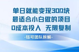 适合小白操作的零成本可复制项目 简单易上手单日即可变现