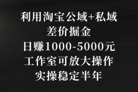 淘宝公域+私域差价掘金实操教程 工作室可放大长期稳定盈利