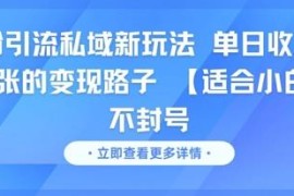 适合小白的男粉私域引流不封号玩法 高收益变现实操攻略