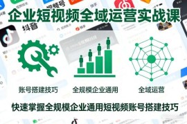 企业短视频全域运营实战课 全规模通用账号搭建运营技巧教学