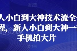 手机拍摄技术流全套课程 新人小白从入门到精通轻松拍大片
