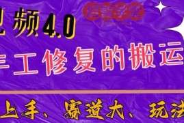 中视频4.0赛道新手入门指南 手工修复搬运玩法全解析
