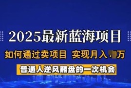 2025蓝海卖项目实操攻略 普通人月入过万全流程详细解析