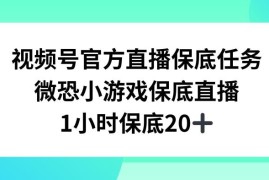 视频号微恐小游戏直播副业项目揭秘 兼职1小时收益可达20+