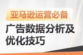 亚马逊广告数据分析及优化技巧 降ACOS提广告效果带动销量增长