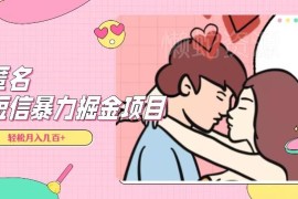 超冷门匿名短信副业项目解析 靠信息差轻松实现日常增收