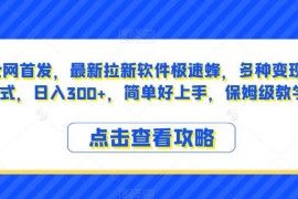 极速蜂拉新软件保姆级教程 多种变现方式及操作玩法全解析