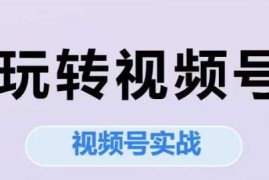 视频号实战系列课程 从定位运营到直播全流程实操教学