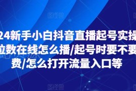 2024抖音新手小白直播起号实操 低在线/付费/流量问题全解答