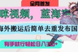 AI猫咪视频蓝海赛道实操教程 海外搬运去重低门槛玩法