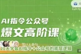AI指令公众号高阶课程 掌握AI指令与公众号运营底层逻辑