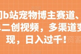 B站冷门宠物博主赛道运营攻略 低门槛二创多渠道变现教程