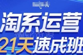 2024年11月更新 0基础21天速成淘系运营 全模块实操可落地