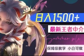 王者荣耀中介变现实操教程 附配套软件及1000G教学素材