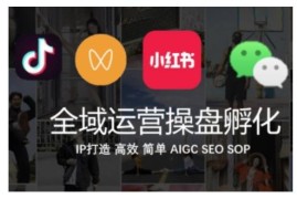 抖音+私域+小红书全域运营操盘 IP高效打造实操课程