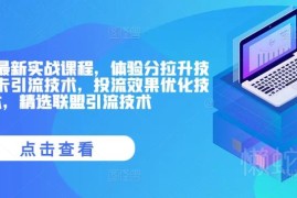 抖音小店实战运营系统课 体验分拉升商品卡引流投流优化教程