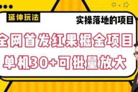 红果免费短剧掘金项目玩法 单机收益30+可批量放大操作详解