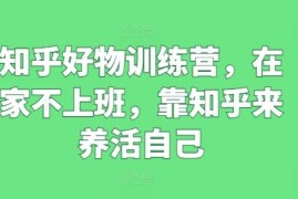 知乎好物运营全阶训练营教程 新手居家做副业增收实用指南