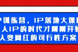 2024超级IP落地训练营 素人从0打造可变现个人IP全流程实操课程