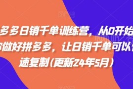 2024年12月更新 拼多多零基础运营日销千单训练营课程