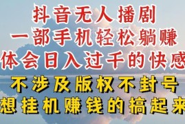 抖音无人直播防封号实操教程 零版权低门槛盈利玩法分享
