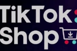 TikTokShop跨境电商0-1实操指南 手把手教你低成本启动海外市场