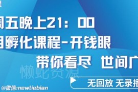 4.26内部《项目孵化-开钱眼》课程回放 网创赚钱底层逻辑揭秘