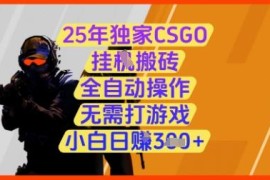 2025年CSGO全自动搬砖项目详解 无需打游戏新手也能轻松上手