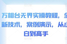 2024万相台无界实操全教程 从小白到高手配套案例教学
