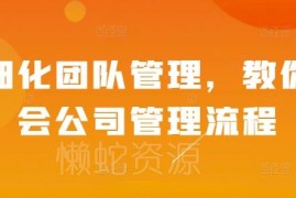 精细化团队管理实操教程 企业公司管理全流程方法详解