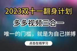 2023双十一多多视频带货三合一玩法详细实操教程分享