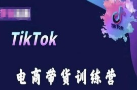 TikTok跨境电商带货训练营 海外掘金全流程运营实操学习课程