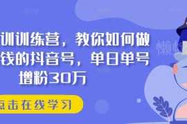 抖音运营实训训练营教程 从零打造高增粉可变现抖音账号