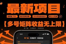 低门槛全自动挂机赚钱项目详解 24小时运行可多号矩阵提收益