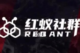 红蚁社群48节抖音IP运营落地课 配套2000人高端交流社群