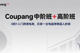 Coupang中高阶运营教程 0基础入门韩国跨境电商实操全指南