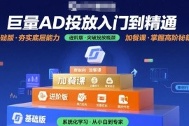 巨量AD投放从入门到精通教程 基础进阶加餐全内容实操干货合集