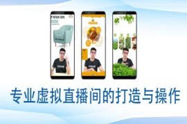 个人及专业虚拟直播间搭建与操作全流程实操教程