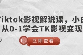 TikTok影视解说零基础入门课 小白从0到1学会TK影视变现玩法