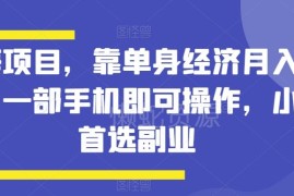 单身经济蓝海副业项目详解 小白仅用手机操作可月入过万