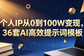 个人IP从0到百万级变现全攻略 附36套全场景AI高效提示词模板