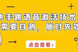 2024快手跳语音激活技术分享 需自行测试随时可能失效