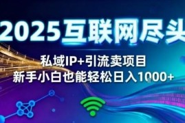2025网创知识付费项目解析 私域IP+精准引流零经验可上手