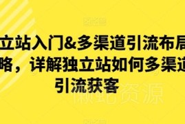 独立站入门与多渠道引流布局指南 详解获客实操全攻略
