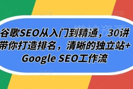 谷歌SEO从入门到精通30讲 独立站排名优化全流程工作流教程