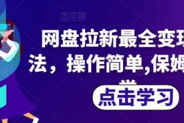 2024网盘拉新变现方法汇总 零基础可操作的保姆级实操教学