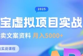 淘宝虚拟项目垂直玩法教程 新手卖文案资料月入5k实操攻略
