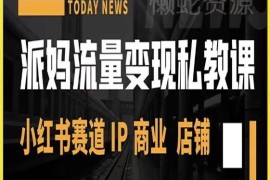 派妈小红书流量变现私教课 IP打造店铺运营实操教程