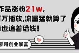 11条作品涨粉21万条条百万播放 不露脸内容变现玩法详解