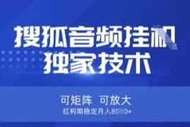 搜狐音频挂机独家操作教程 可矩阵放大红利期稳定获得收益